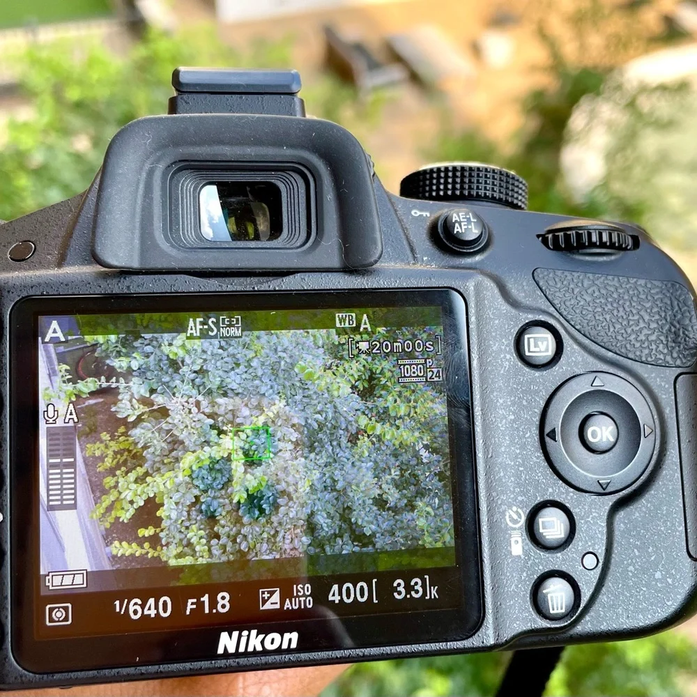 Nikon DSLR Camera & Accessories